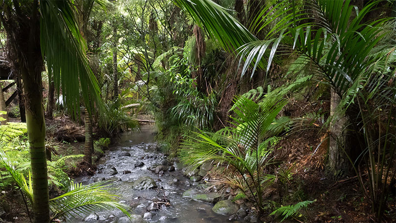 Toitū te whenua, whatungarongaro he tangata<br/>The land remains when people have disappeared